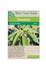 West Coast Seeds Black Sesame