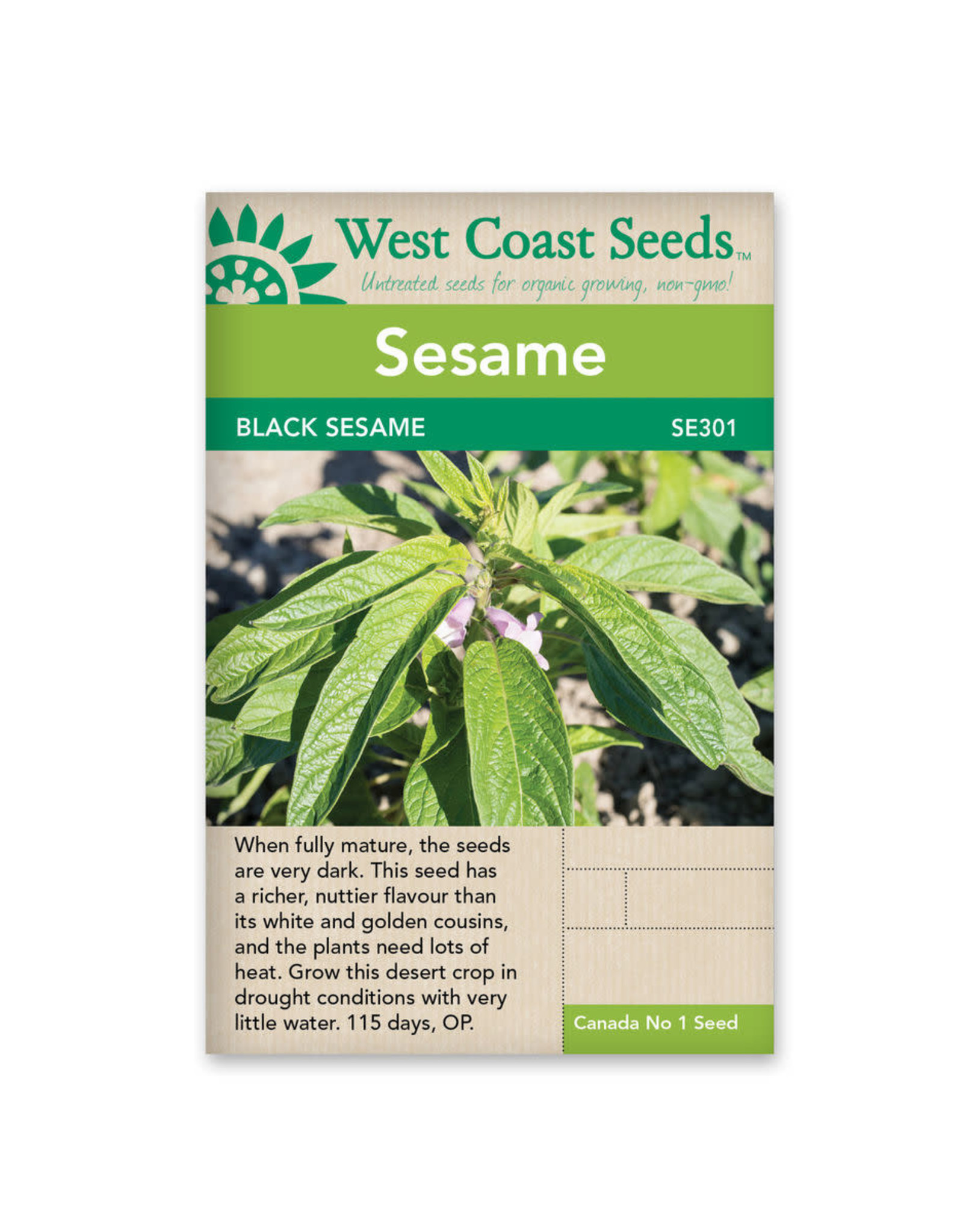 West Coast Seeds Black Sesame