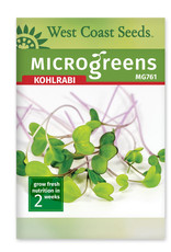 Microgreen Kohlrabi