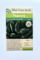 West Coast Seeds Black Magic Jalapeno F1 Certified Organic