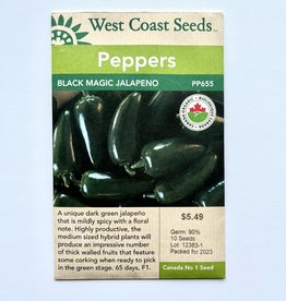 West Coast Seeds Black Magic Jalapeno F1 Certified Organic