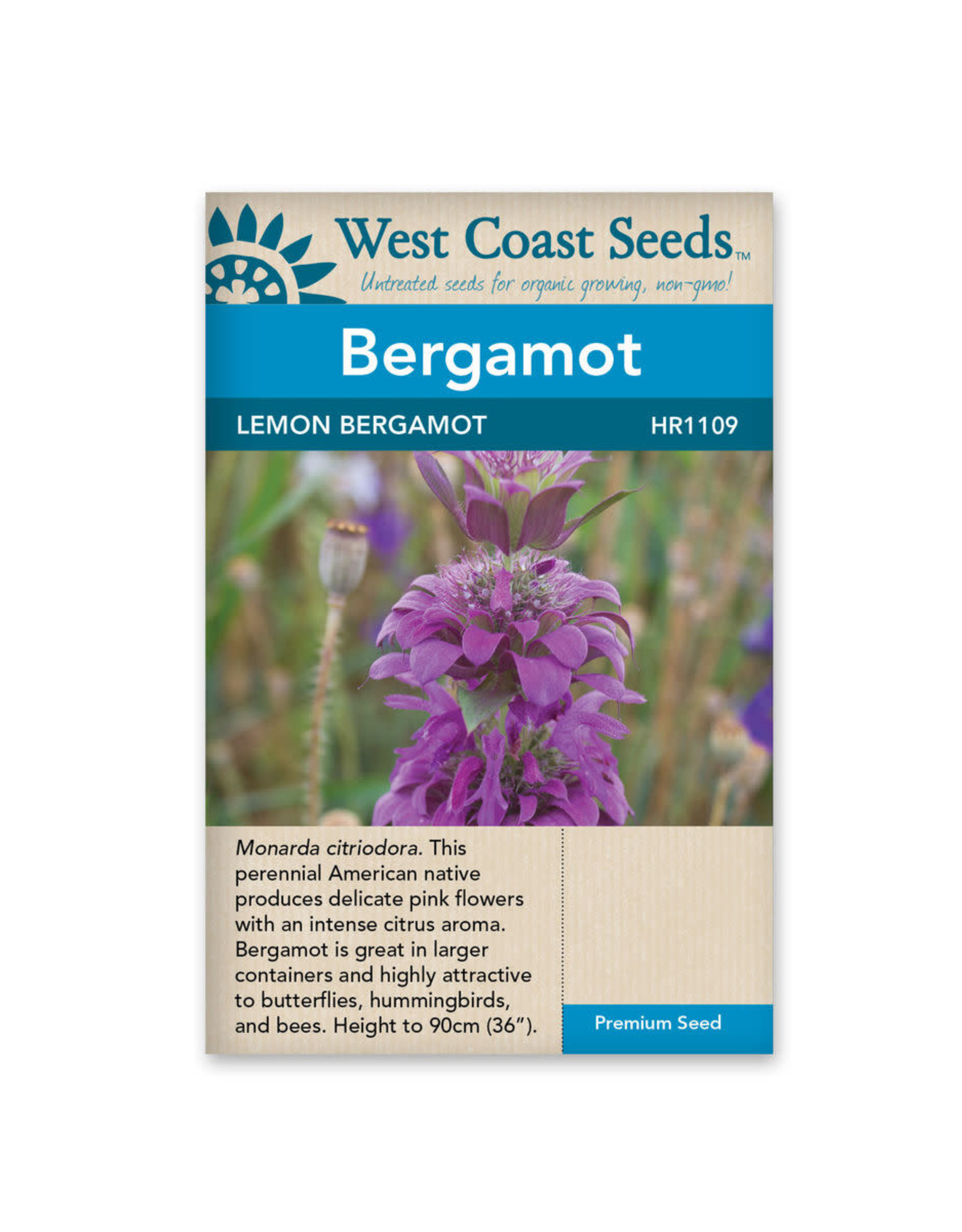 West Coast Seeds Lemon Bergamot