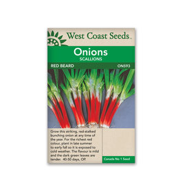 West Coast Seeds Onions - Red Beard