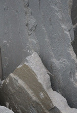 Flagstone - Bluestone (per lb) in stock