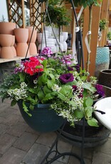 Hanging Basket Mixed - 12 inch