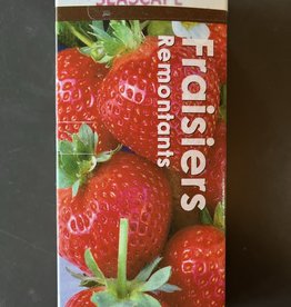 Strawberry Everbearing Day Neutral- Package of 10