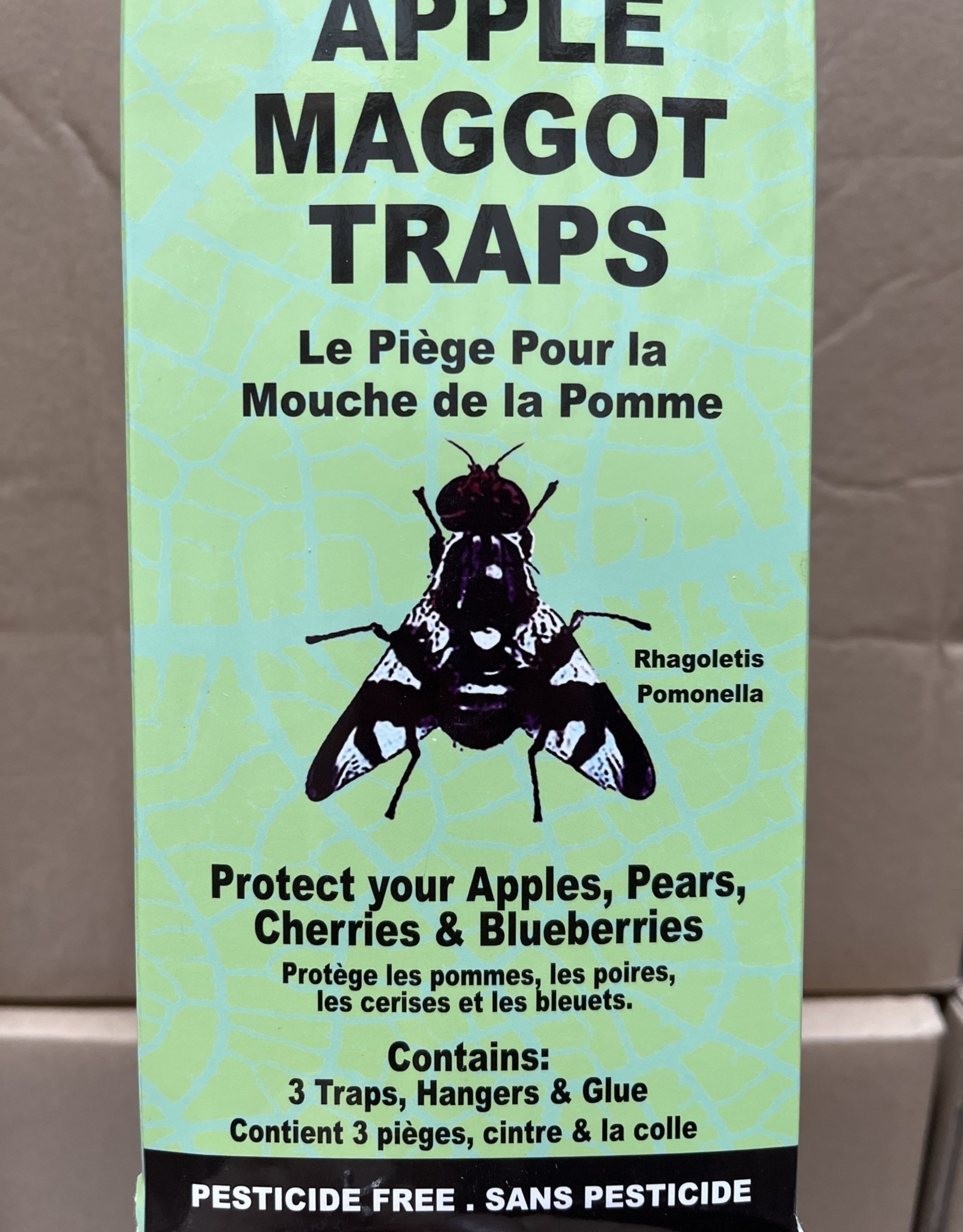 West Coast Seeds Apple Maggot Trap (3 Lures/Trap & Glue)