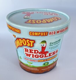 Compost Red Wigglers