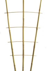 Plant Support Growing Ladder Small - H85cm