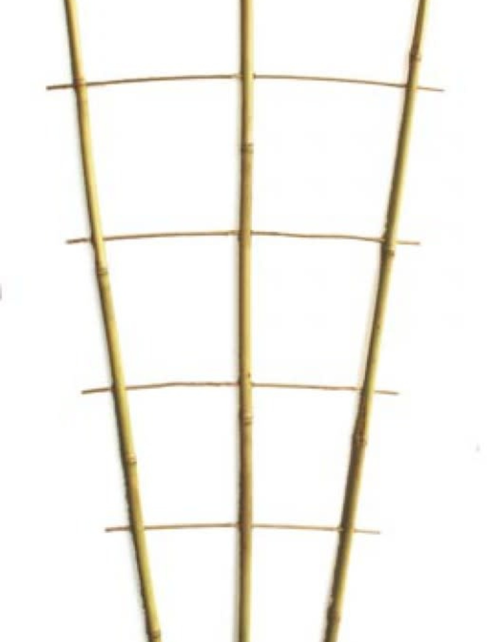 Plant Support Growing Ladder Small - H85cm