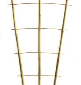 Plant Support Growing Ladder Large - H120cm