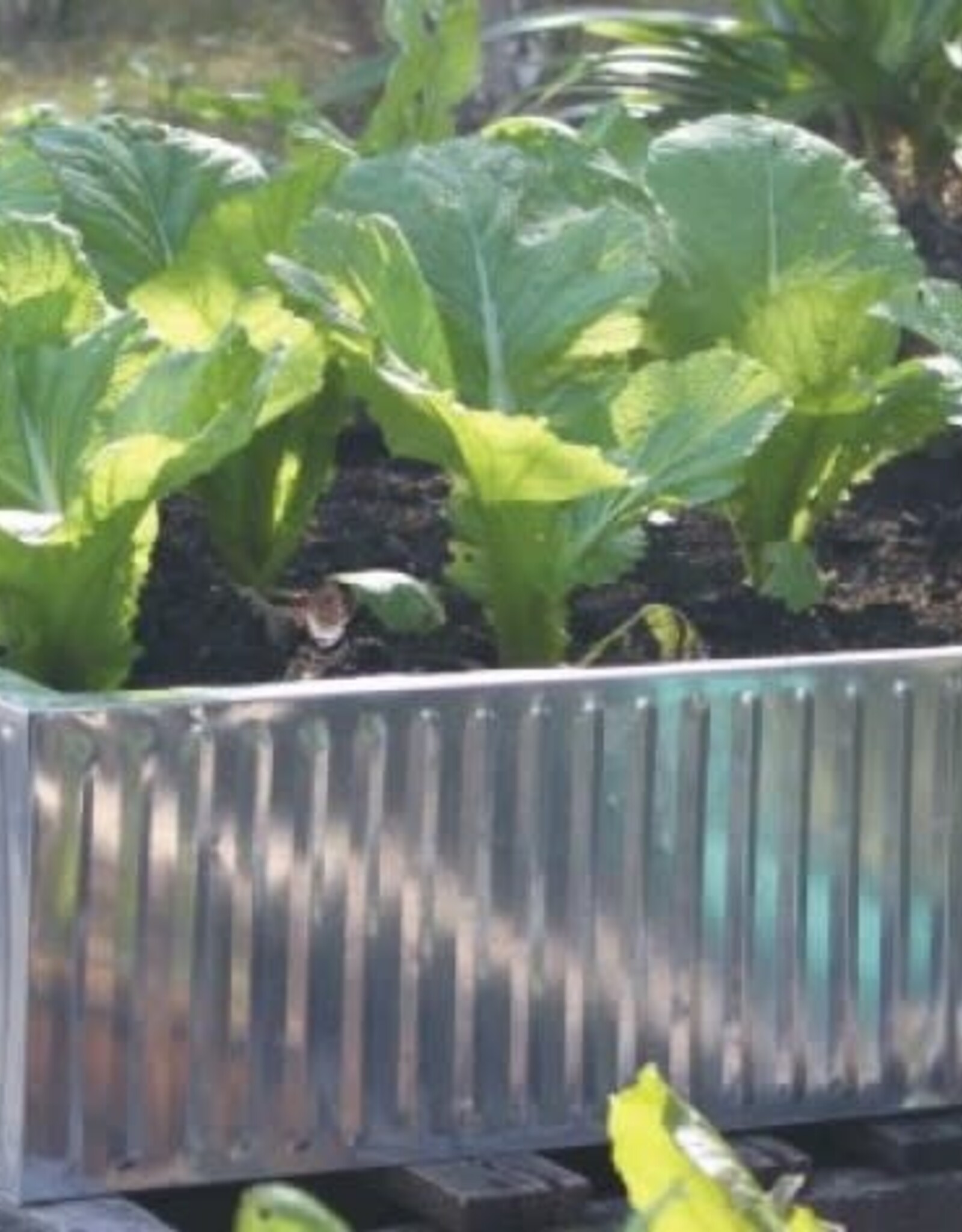 Galvanized Raised Bed - 90x90x20cm