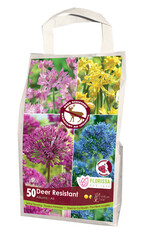 Mixed Fall Bulbs Bag Deer Resistant Allium Mix