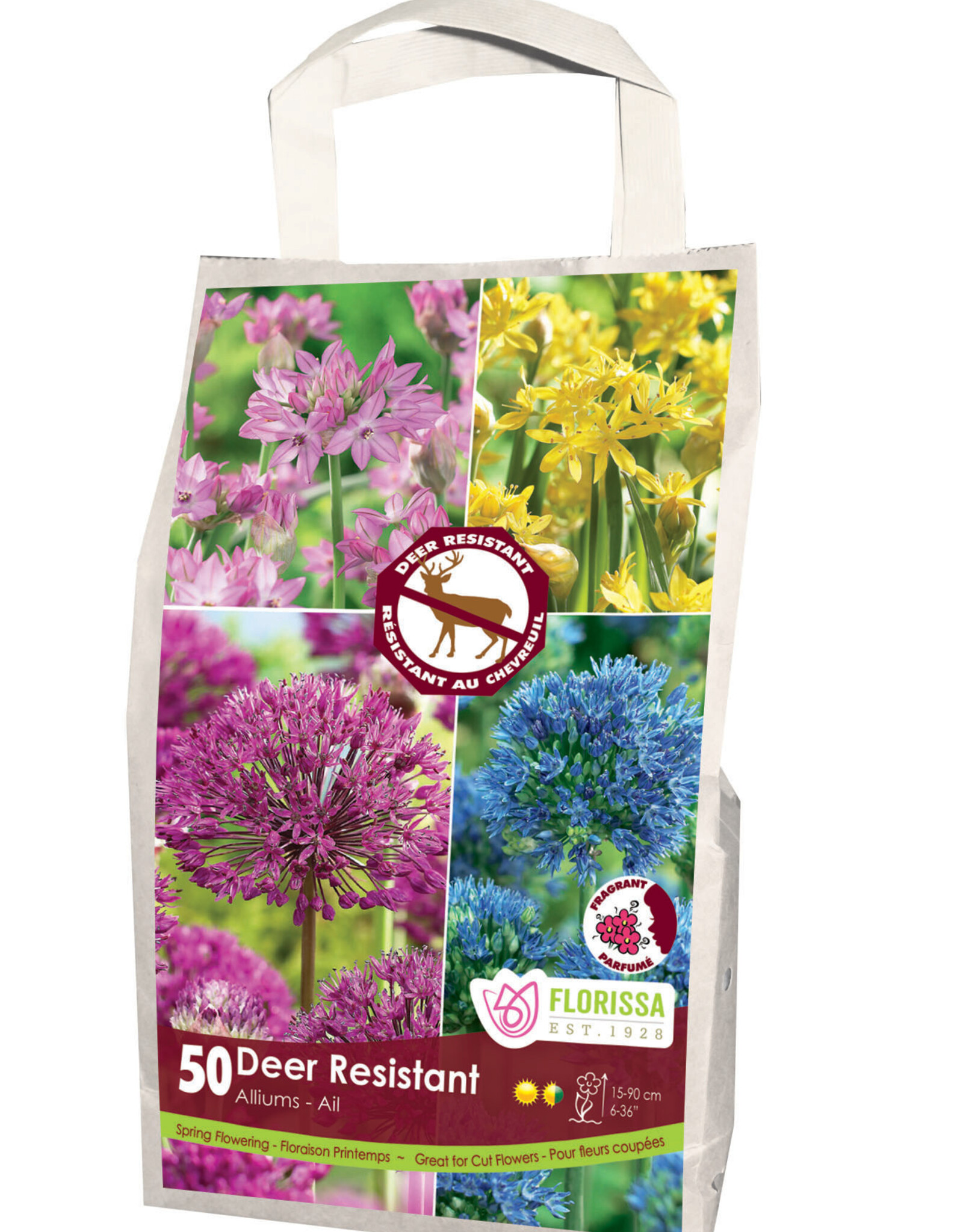 Mixed Fall Bulbs Bag Deer Resistant Allium Mix