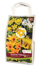 Mixed Fall Bulbs Bag