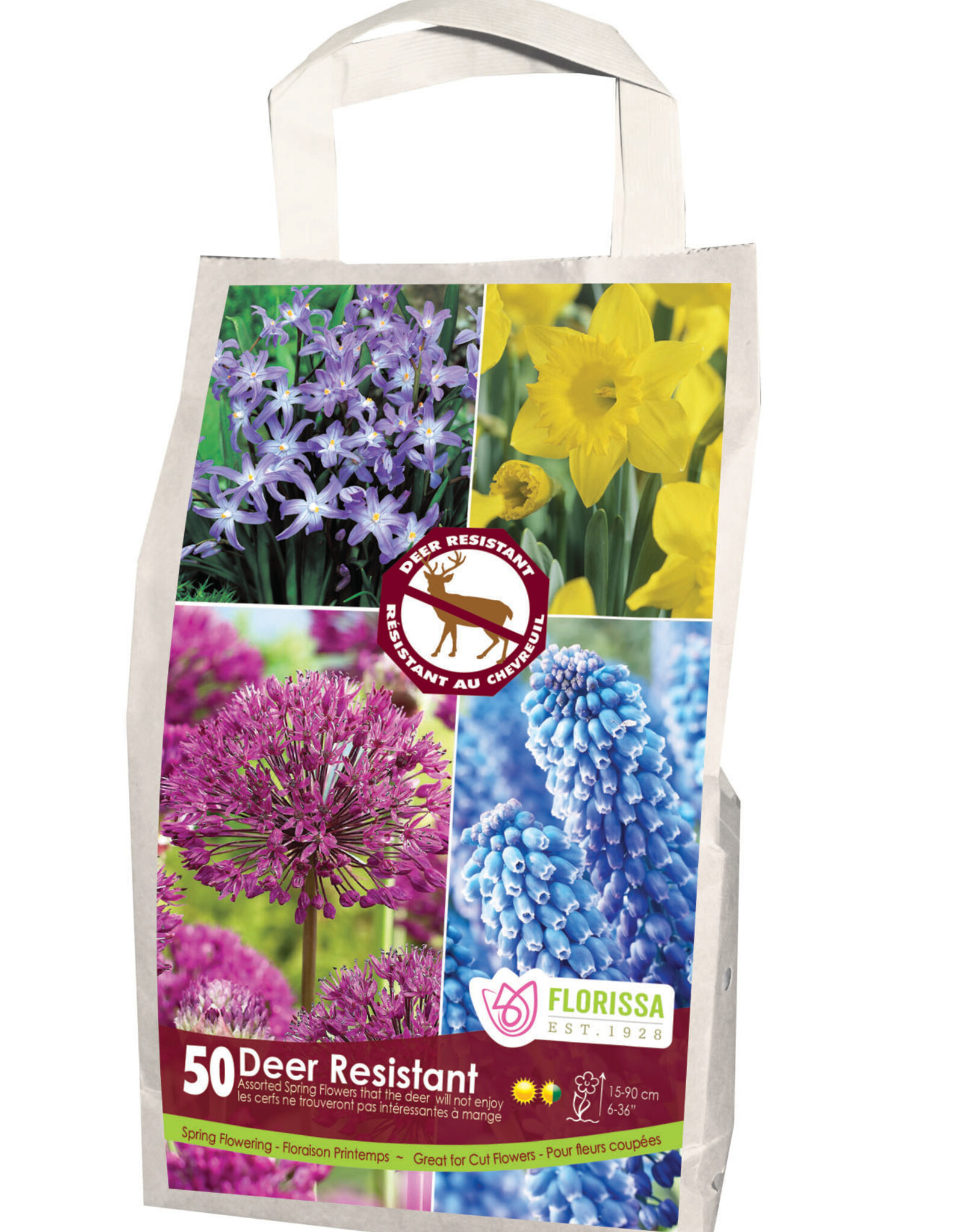 Mixed Fall Bulbs Bag
