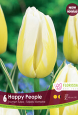 Tulip - Per Bulb - Happy People
