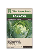 West Coast Seeds Cabbage Copenhagen Market