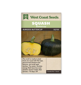 West Coast Seeds Squash Burgess Buttercup