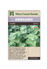 West Coast Seeds Zaatar Oregano Organic Certified (50 Seeds)
