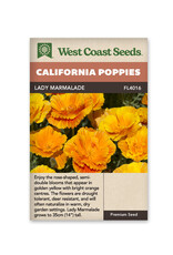 California Poppies - Lady Marmalade