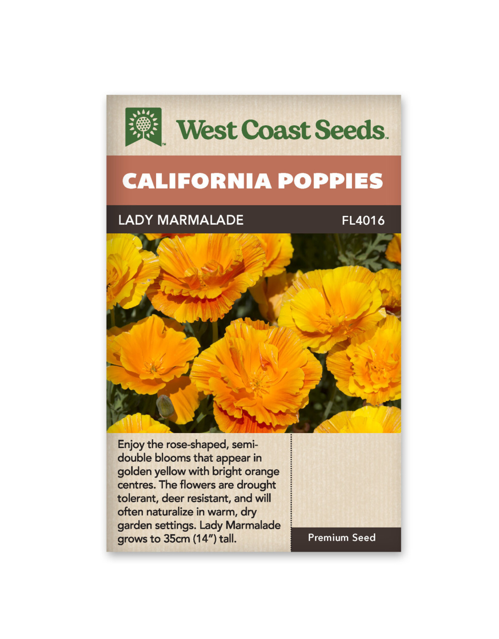 California Poppies - Lady Marmalade