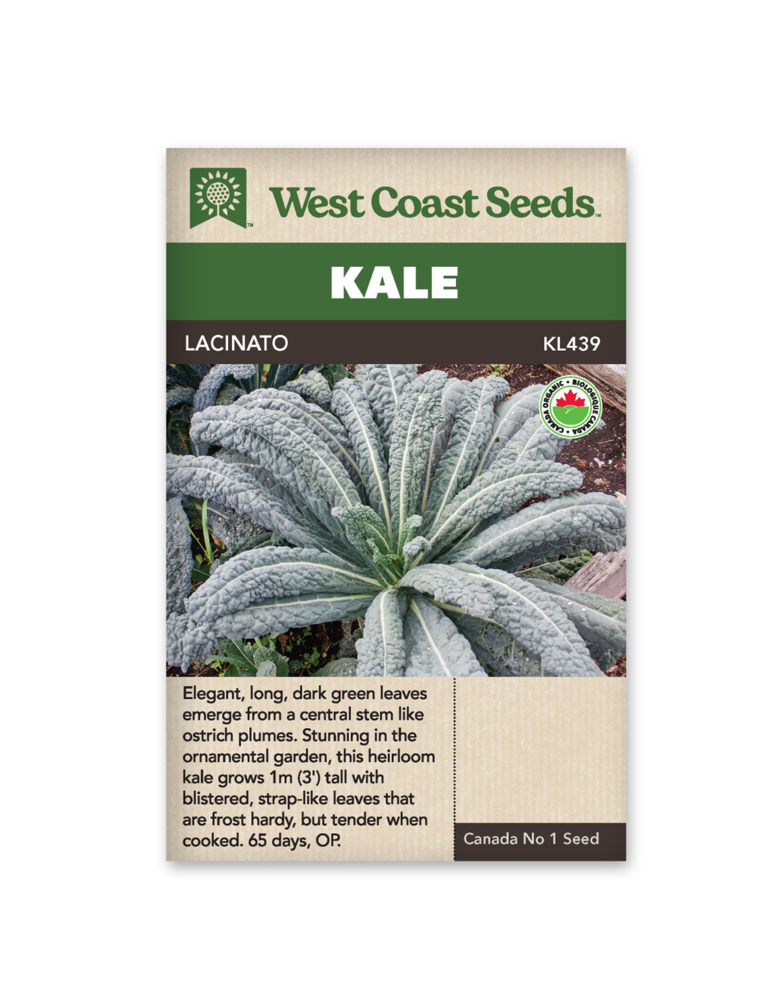 West Coast Seeds Kale Lacinato Organic Certified