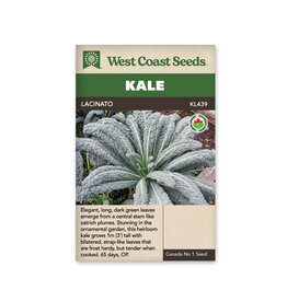 West Coast Seeds Kale Lacinato Organic Certified