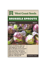 West Coast Seeds Brussel Sprout Red Ball