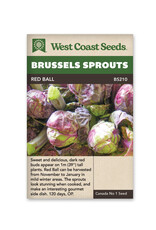 West Coast Seeds Brussel Sprouts - Red Ball