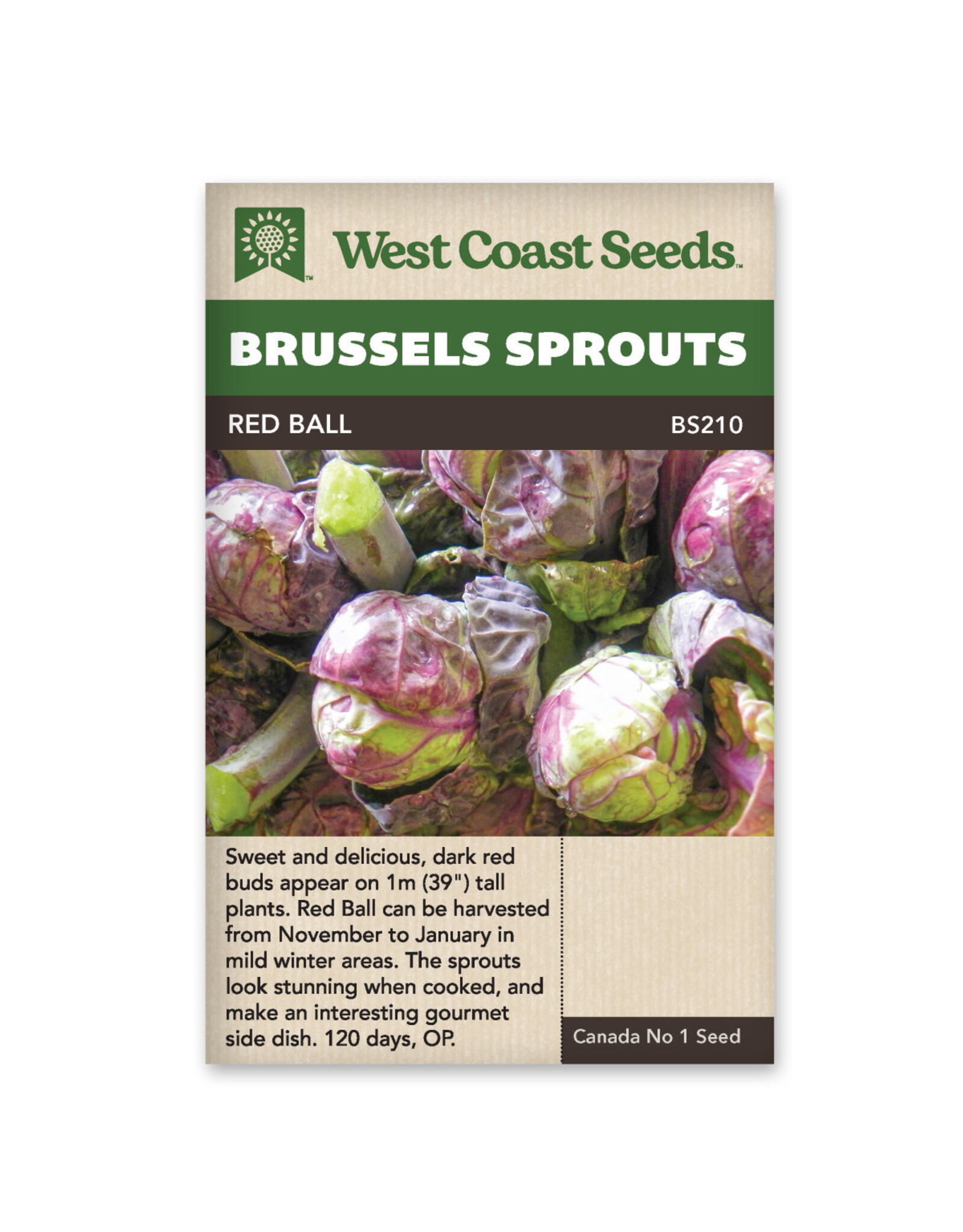 West Coast Seeds Brussel Sprouts - Red Ball