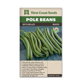 West Coast Seeds Pole Beans Seychelles Organic Certified