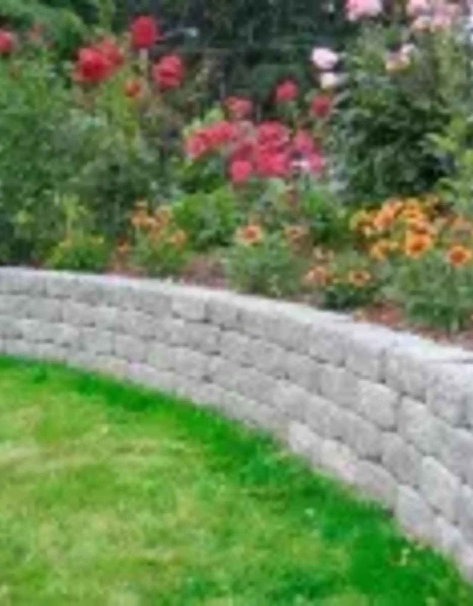 Roman Stackstone Standard