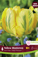 Tulip - Per Bulb - Yellow Madonna - 18 inch Ht.