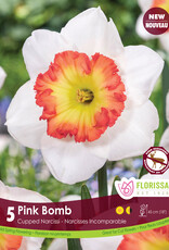 Narcissus (Daffodil) - Per Bulb - Pink Bomb