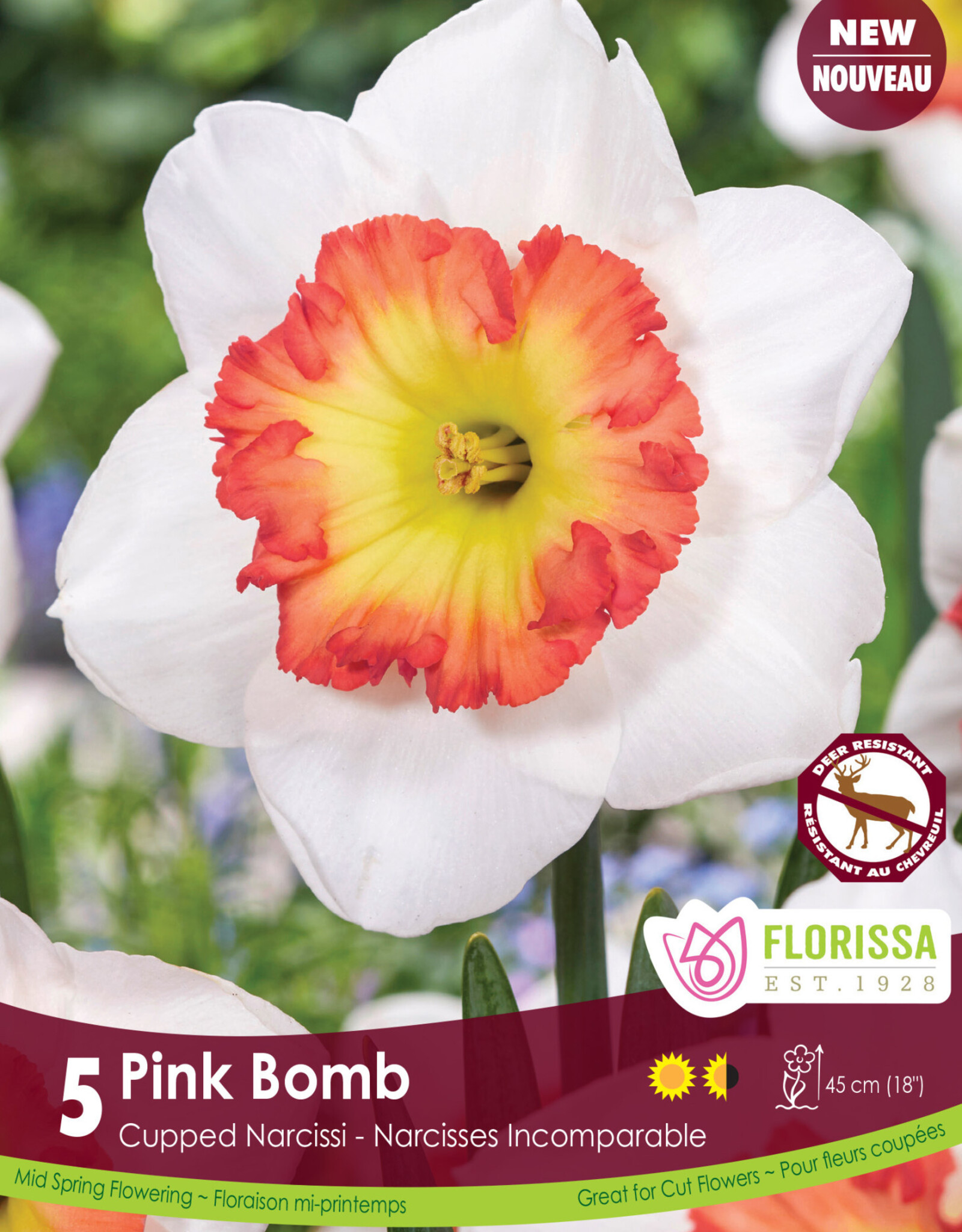 Narcissus (Daffodil) - Per Bulb - Pink Bomb