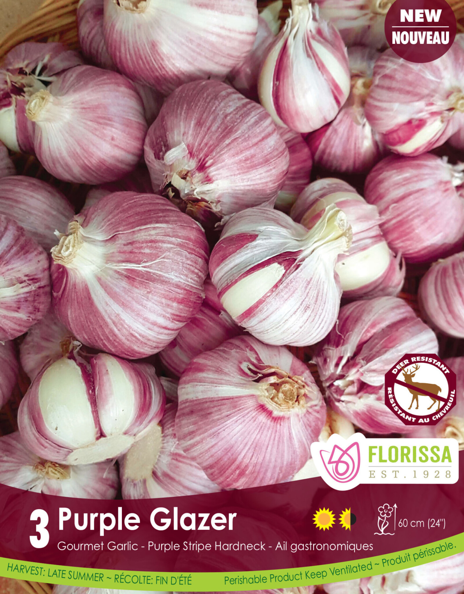 Garlic - Hardneck - Per Bulb - Purple Glazer