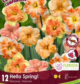 Companion Hello Spring pkg 12