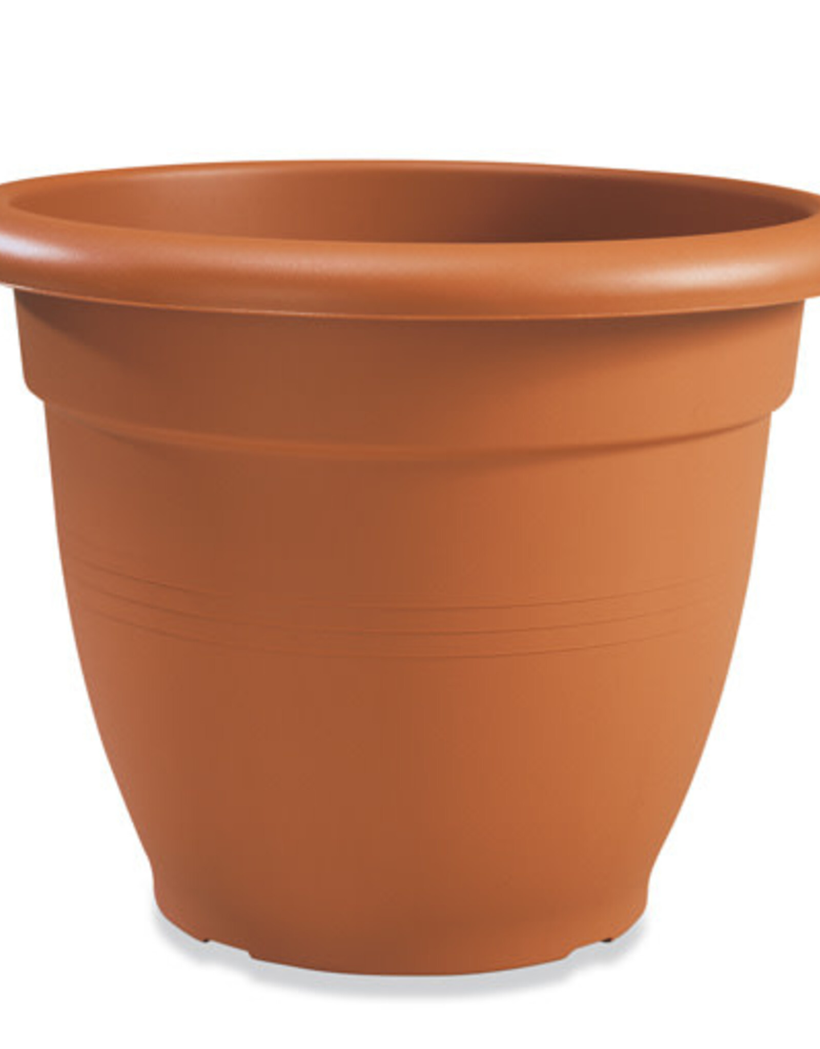 Creta Pot