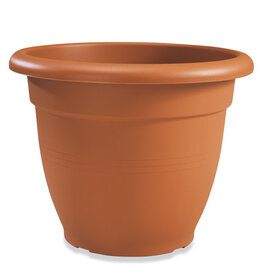 Creta Pot