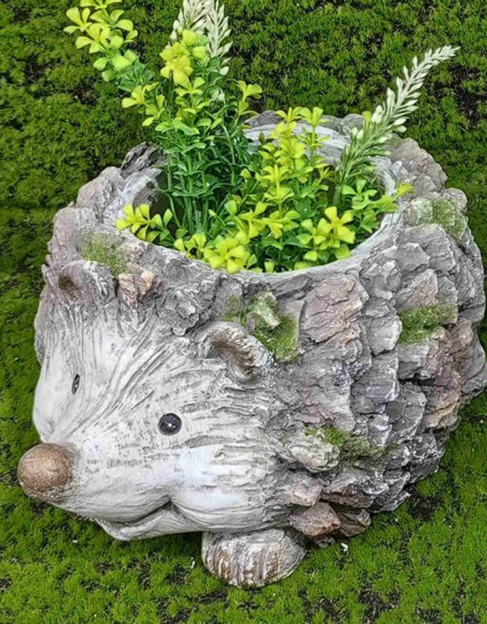 Hedgehog Planter