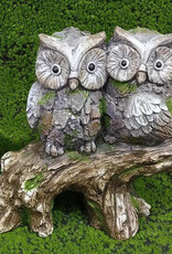 Owls on Stump