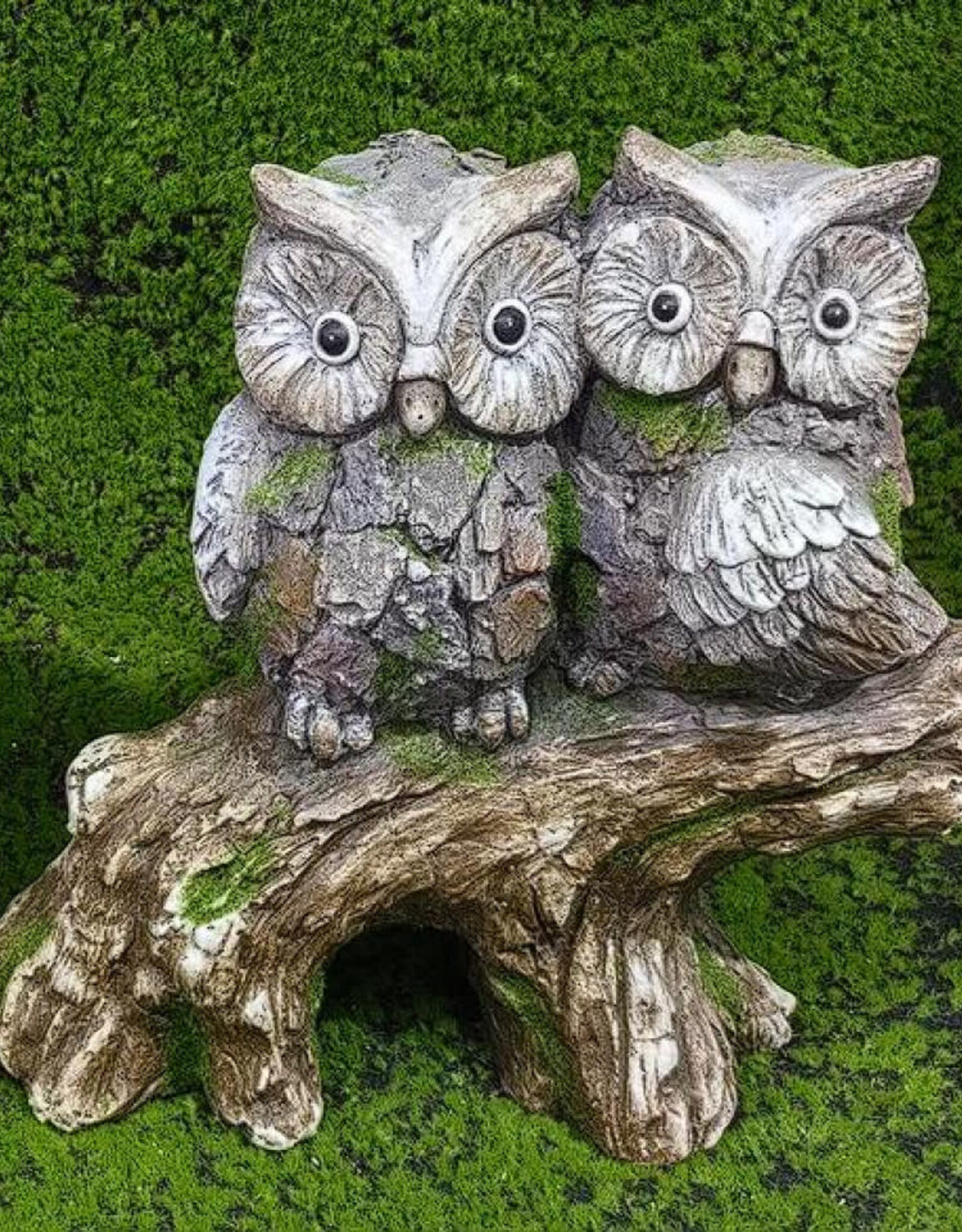 Owls on Stump