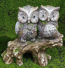 Owls on Stump