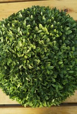PL.UV PROOF AMERICAN BOXWOOD BALL 16"D