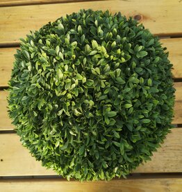 PL.UV PROOF AMERICAN BOXWOOD BALL 16"D