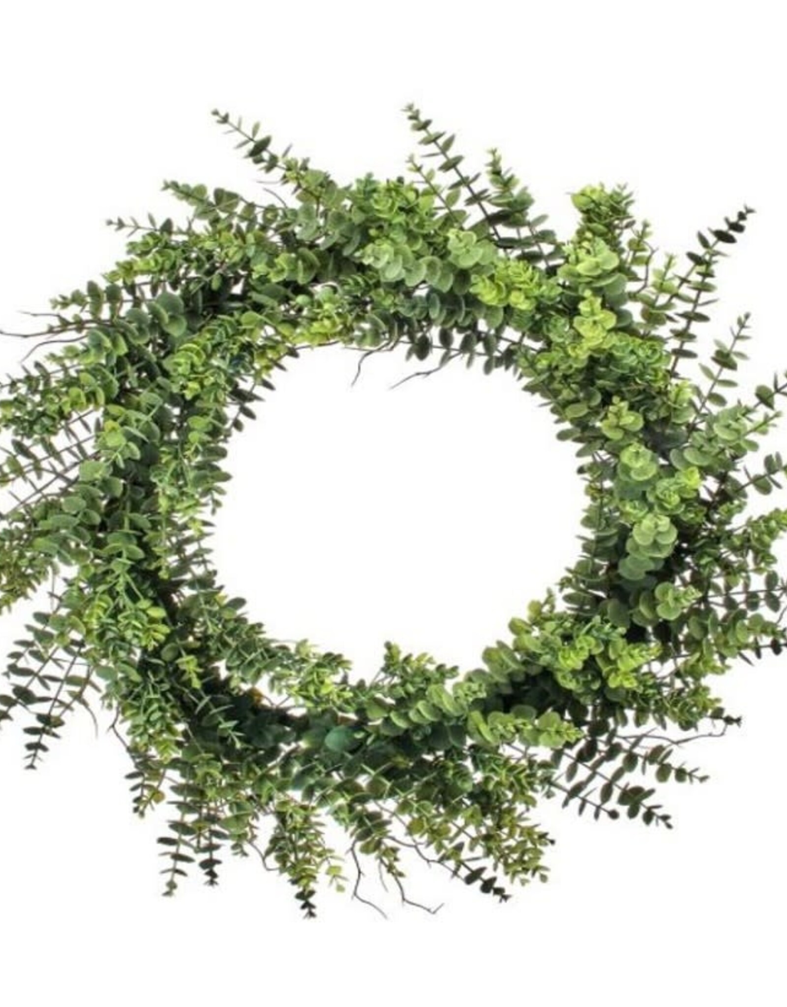 PL MATURE EUCALYPTUS WREATH 30"