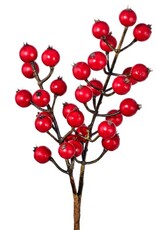 12" WATERPROOF WINTER BERRY PICK
