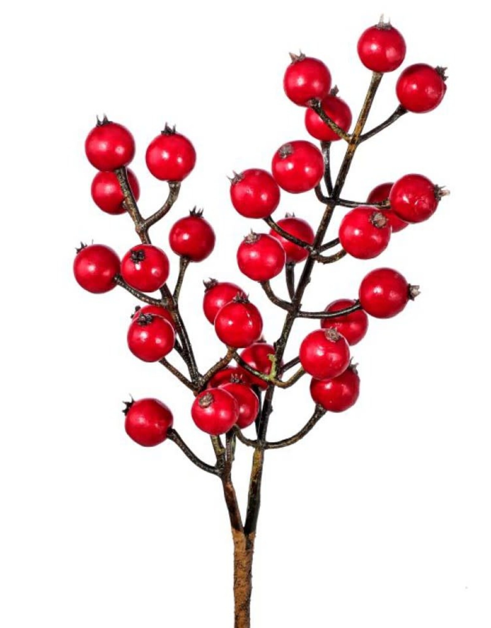 12" WATERPROOF WINTER BERRY PICK
