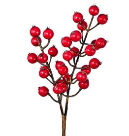 12" WATERPROOF WINTER BERRY PICK